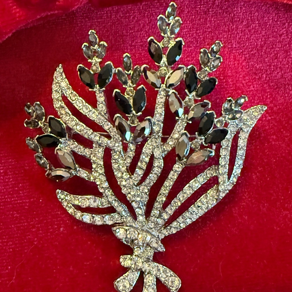 Elegant Black and Silver Brooch